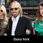dana york