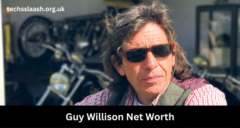 guy willison net worth